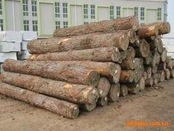 泰和縣方圓木業原木產品列表 精選優質木材，打造自然之美